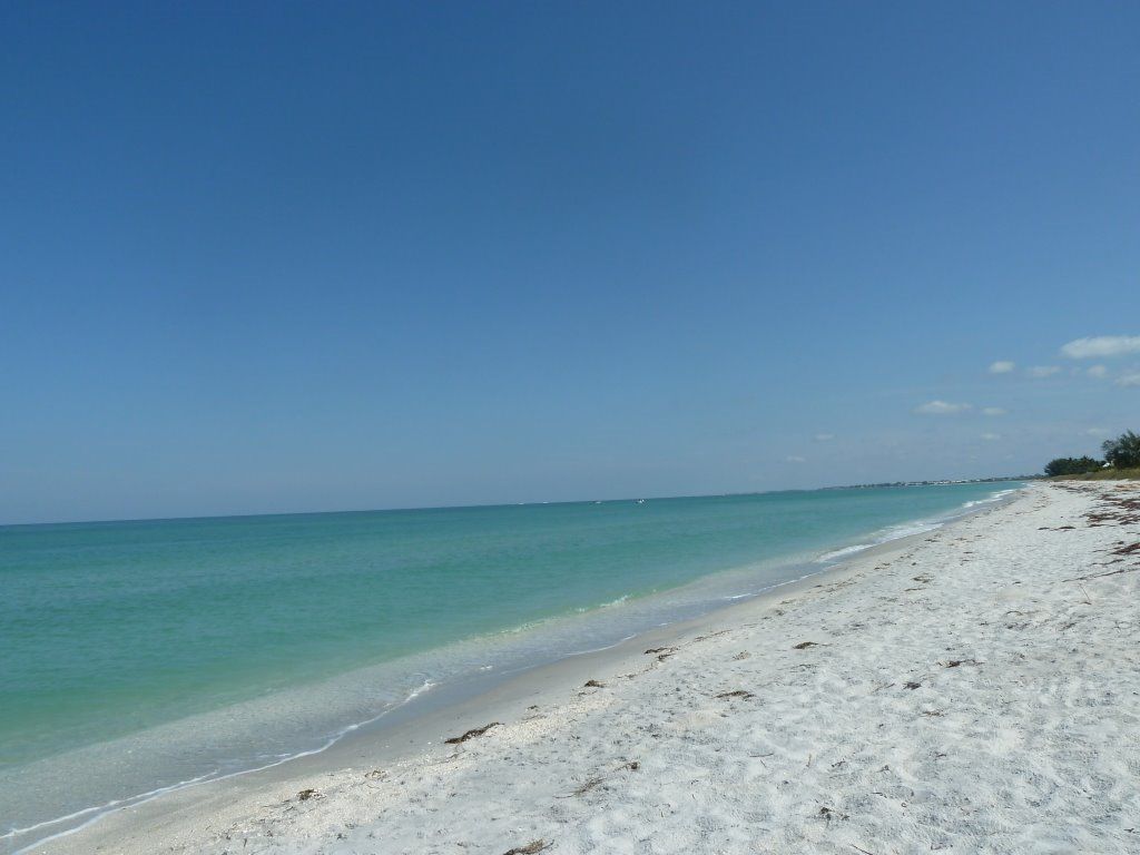 Nearby Gulf Coast beach